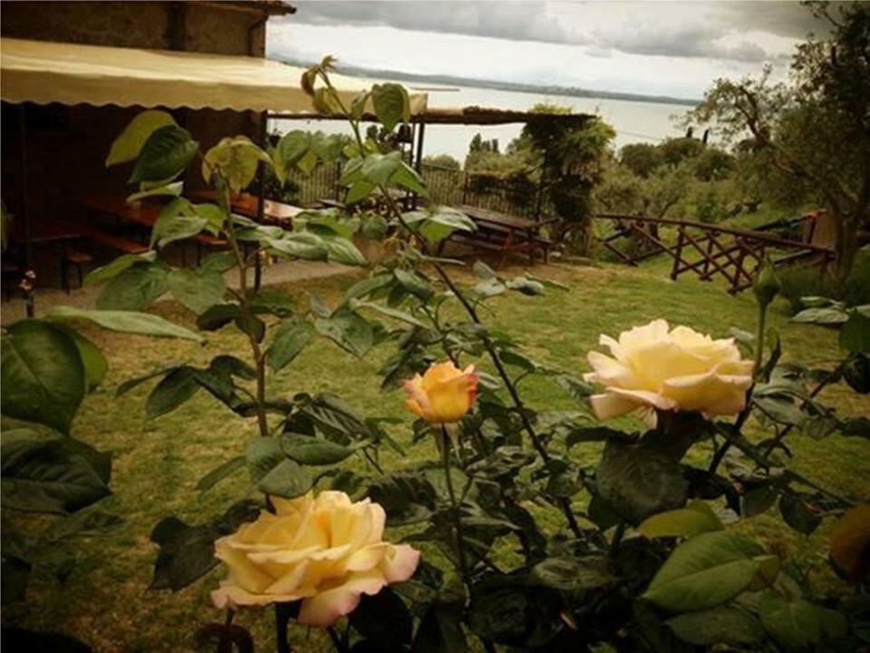 Fattoria Il Poggio Villa San Feliciano Exterior foto